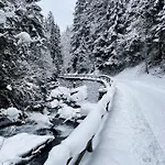 Mei-so-nett Hutegger Apartamento Schladming