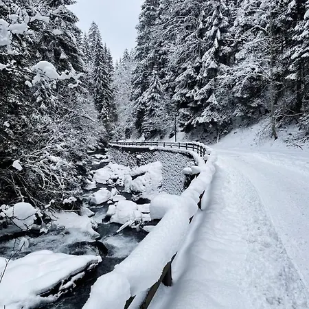 Mei-so-nett Hutegger Appartamento Schladming