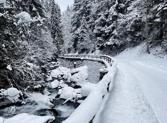 Mei-so-nett Hutegger Apartmán Schladming